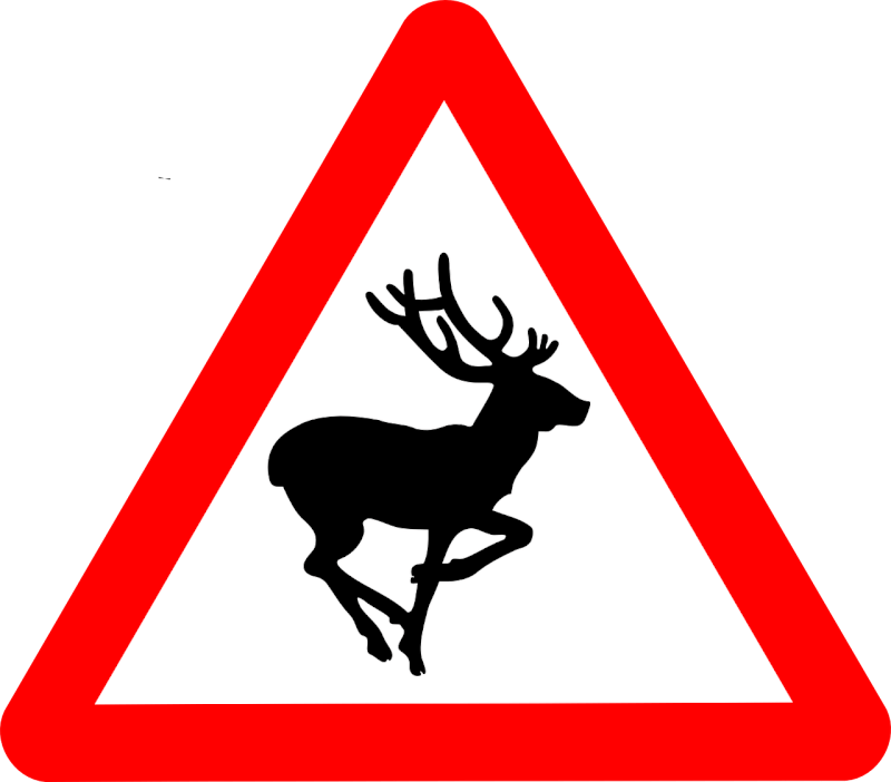 how do i prevent and handle wildlife encounters at campgrounds 3